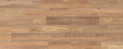 Sunwashed_Oak