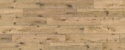 Trimble_White_Oak