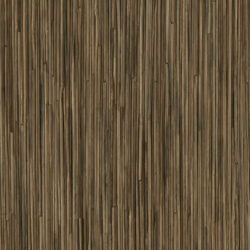 Bamboo 593