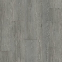 Evoke 6504EK