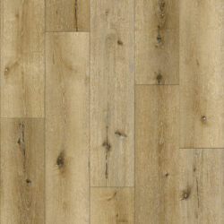 Felicity 6502EK