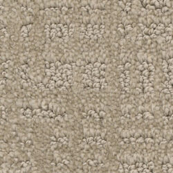 OATMEAL – G0060