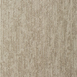 Snowfield - 83922