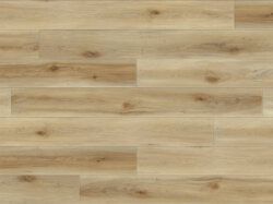Amur-Maple (SW_1500x1000_sRGB)