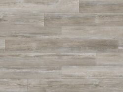 Aleppo-Pine (SW_sRGB_1500x1000)