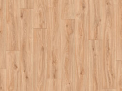 Cimarron-L56 (RS_sRGB_1500x1000)