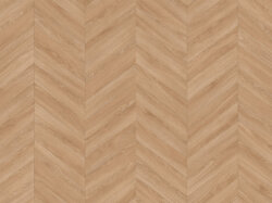 Cornelia-544 (RS_sRGB_1500x1000)