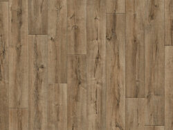 Edgewood-L43 (RS_sRGB_1500x1000)