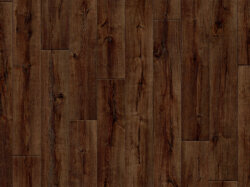 Edgewood-L48 (RS_sRGB_1500x1000)