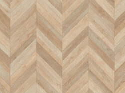 Pamera-537 (RS_sRGB_1500x1000)