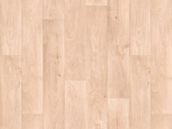 Toronto-L91 (RS_sRGB_1500x1000)