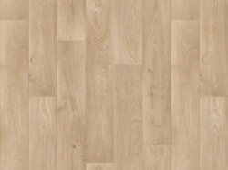 Toronto-L93 (RS_sRGB_1500x1000)