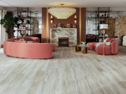 Aleppo-Pine (RS_sRGB_1500x1000)