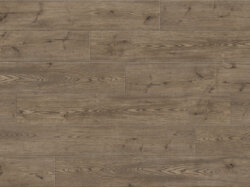 Allegheny-Pine (SW_sRGB_1500x1000)