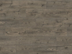 Blue-Ridge-Pine (SW_sRGB_1500x1000)