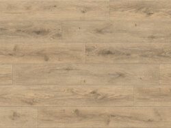 Wicklow-Oak (SW_sRGB_1500x1000)